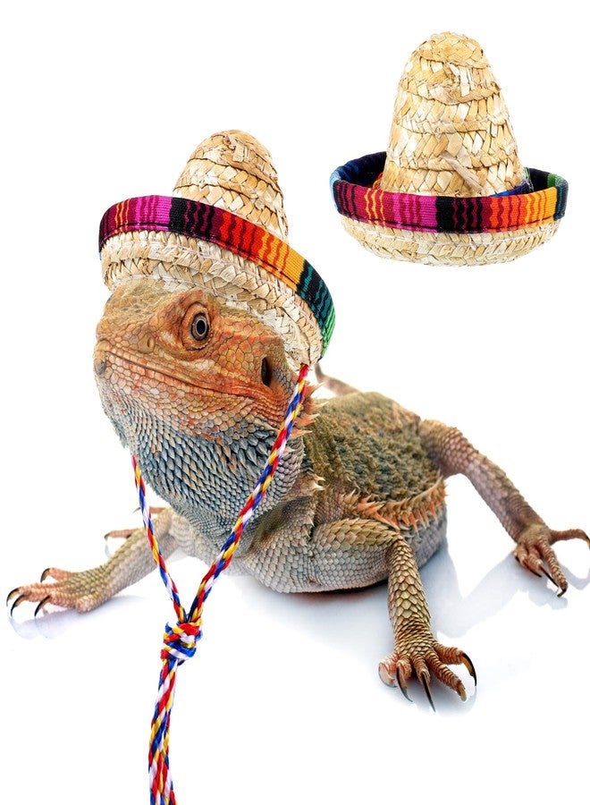 Gtziqa Bearded Dragon Sombrero Hats, Bearded Dragon Clothes Accessories Lizard Straw Hat with Adjustable Chin Strap Small Pet Hat Lizard Costume for Reptile Ferret Hamsterleopard Gecko Snake Guinea Pig Pet - Image 1